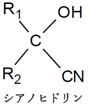 アルデヒド,ケトンとシアン化水素HCNからシアノヒドリンの反応機構　92回問9f
